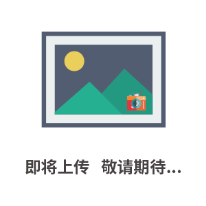 WDS-01 ������Ի���ѹ�������-������̽���� ������Ի�